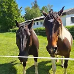 Lippert 아파트 쿤젤