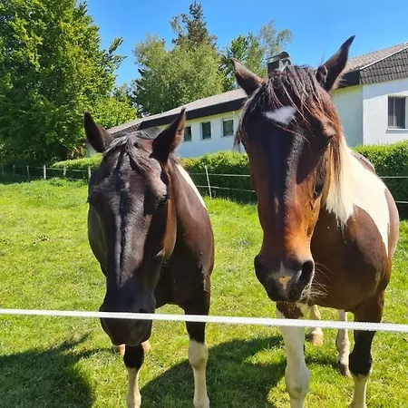 Lippert 아파트 쿤젤