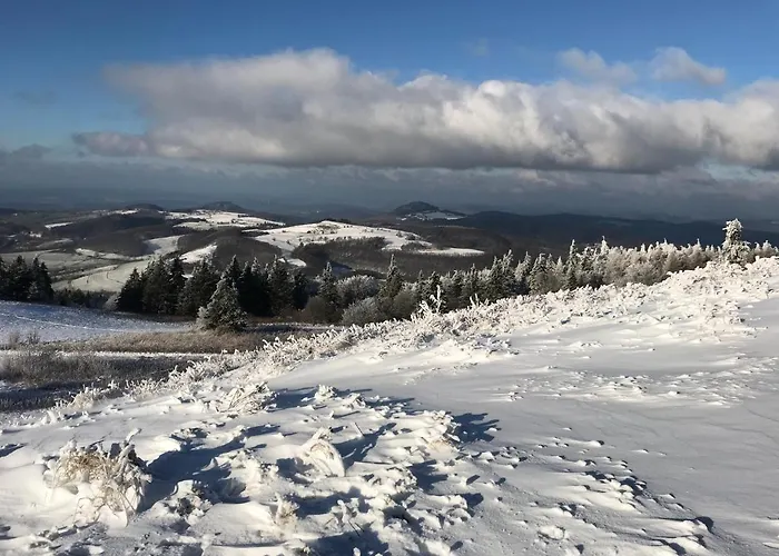 Lippert Кюнцелль