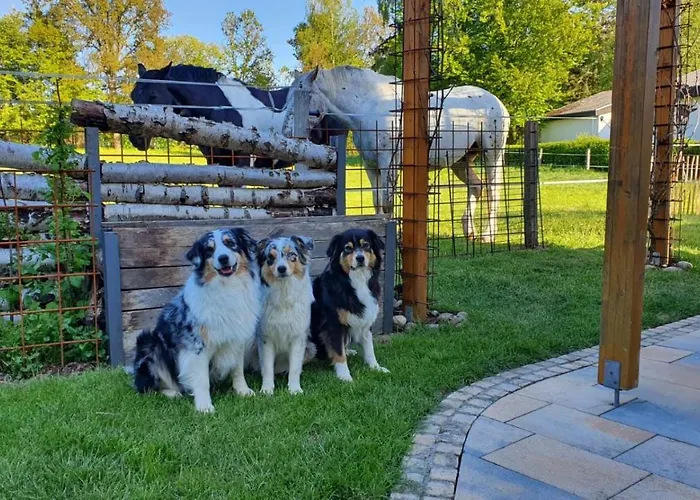 Апартаменты Lippert *