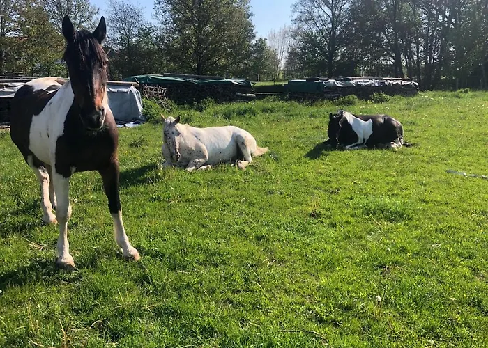 Апартаменты Lippert *