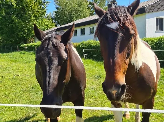 Lippert Апартаменты Кюнцелль